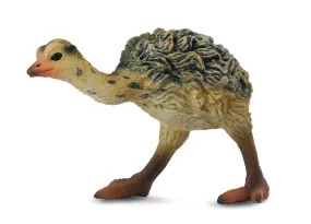 Collecta - Ostrich Chick Walking