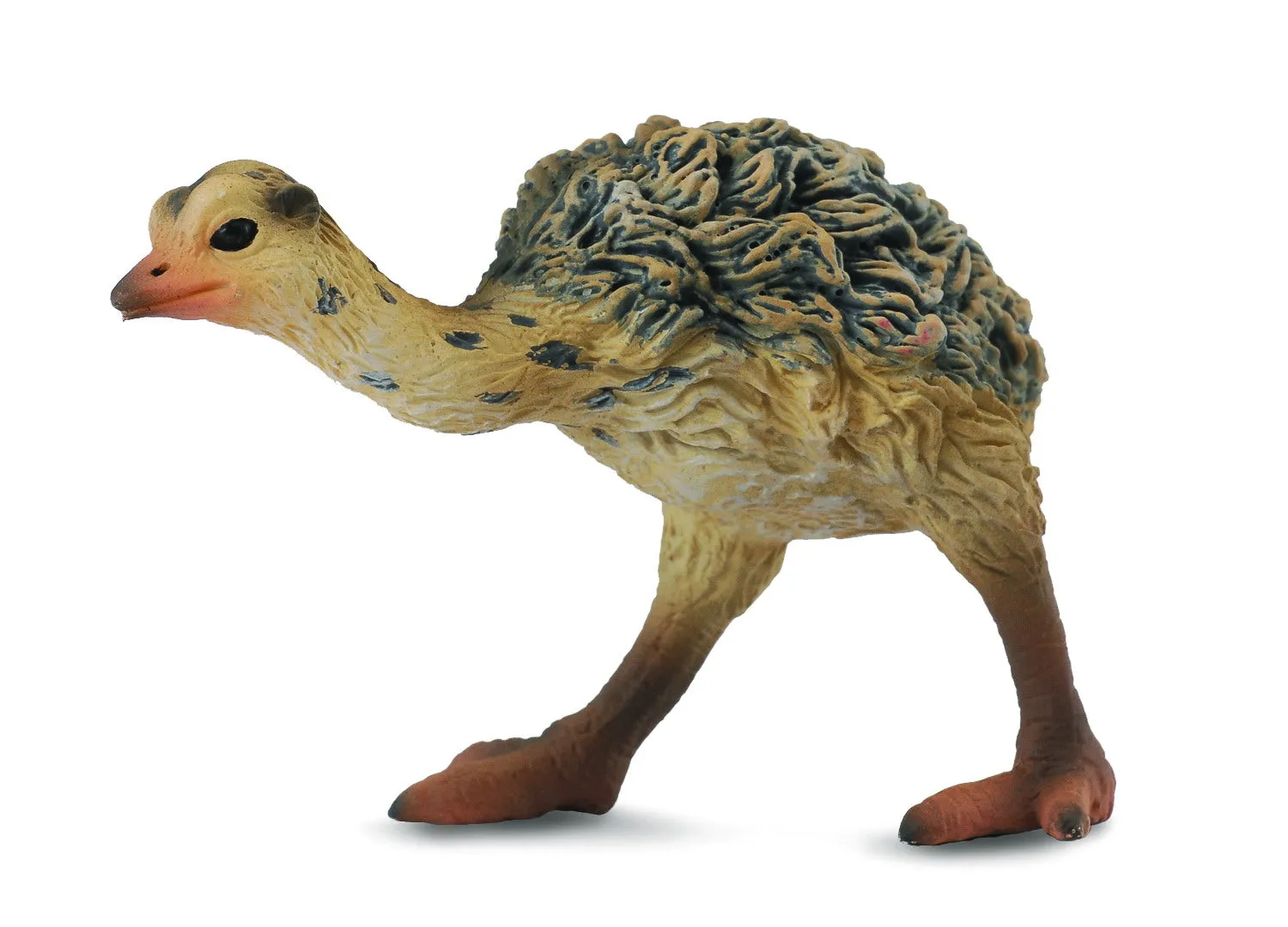 Collecta - Ostrich Chick Walking