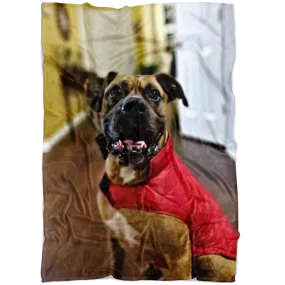Custom Fleece Blanket with Sofia's Family Pet 11-30-2020