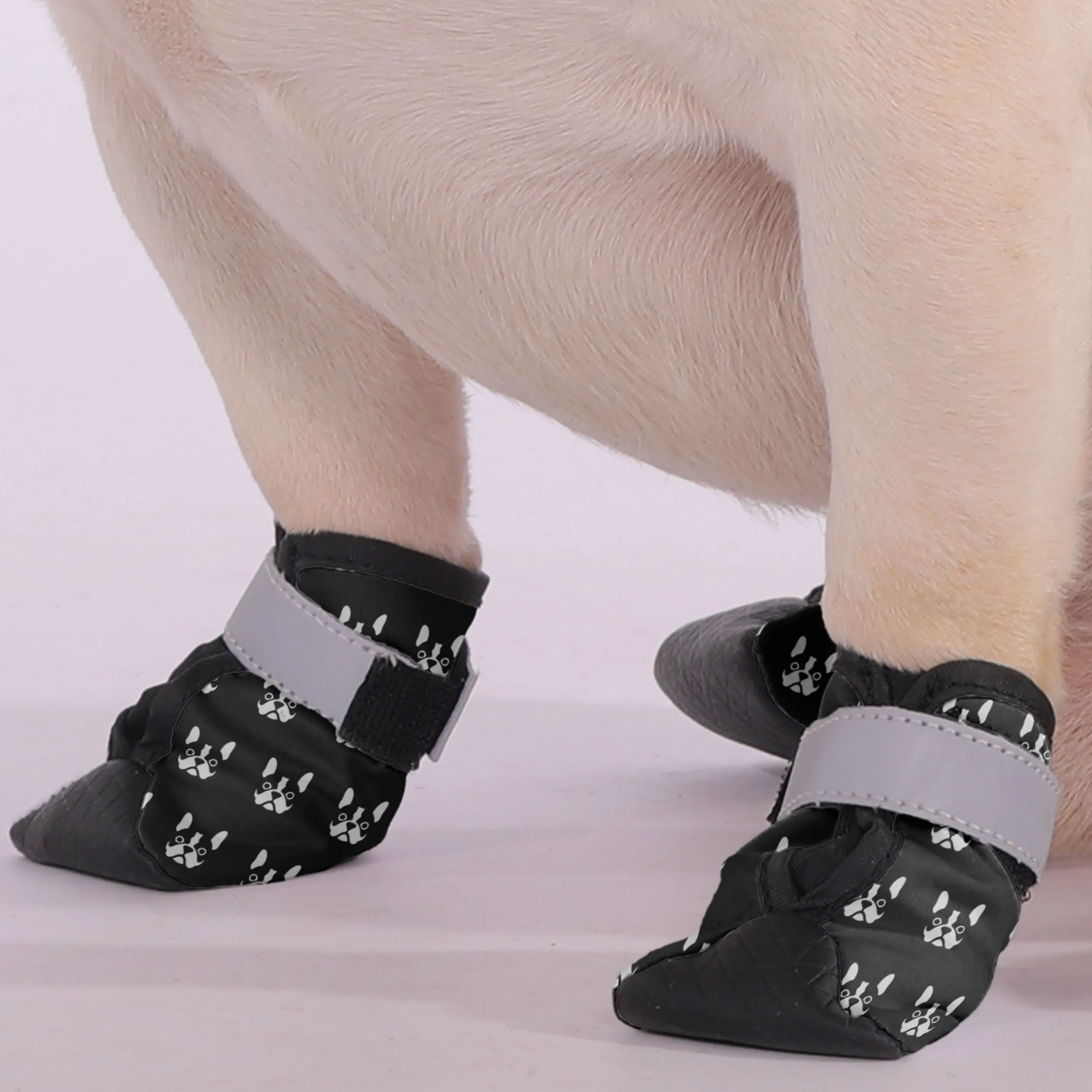 Gus - Premium Dog Socks & Boots for French Bulldogs