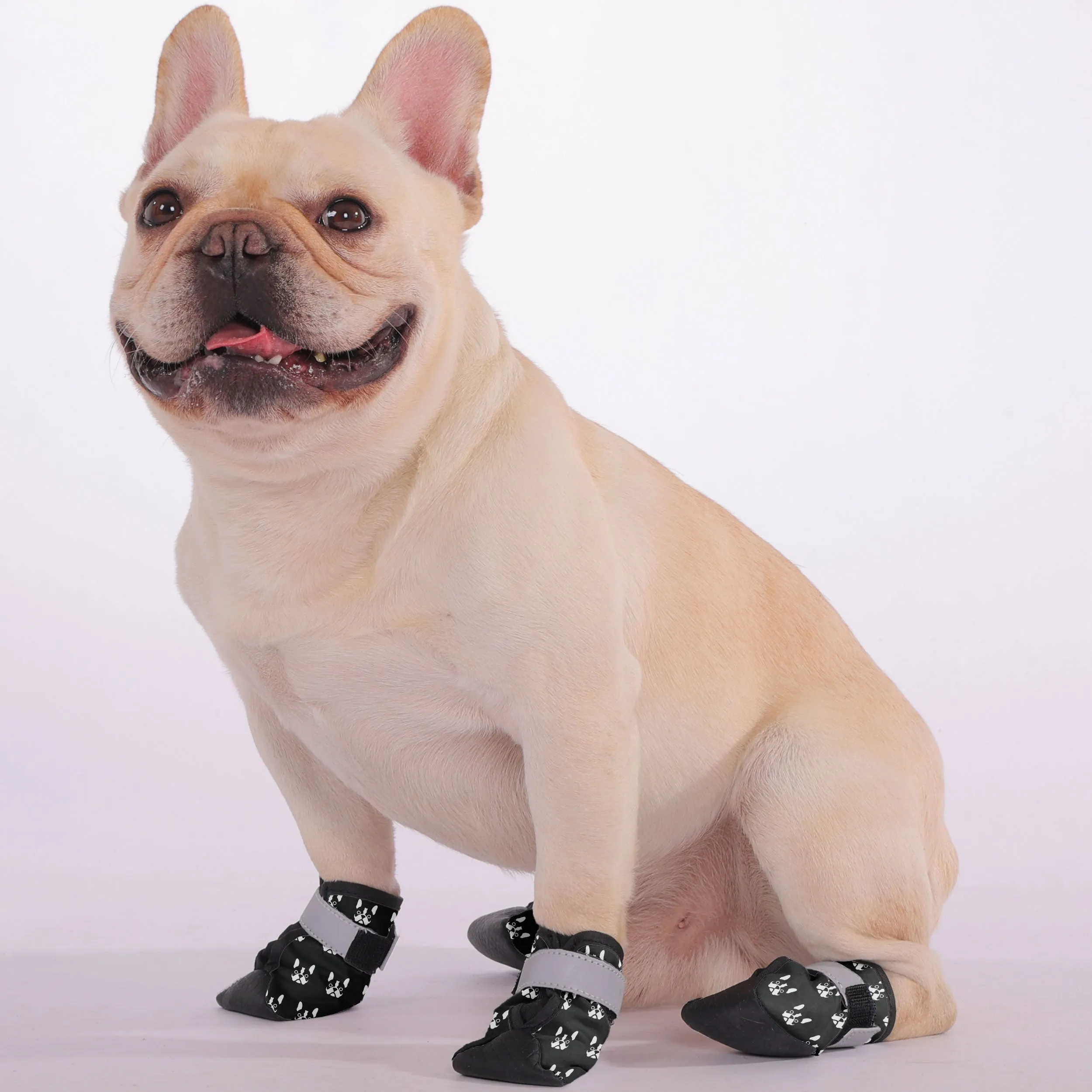 Gus - Premium Dog Socks & Boots for French Bulldogs