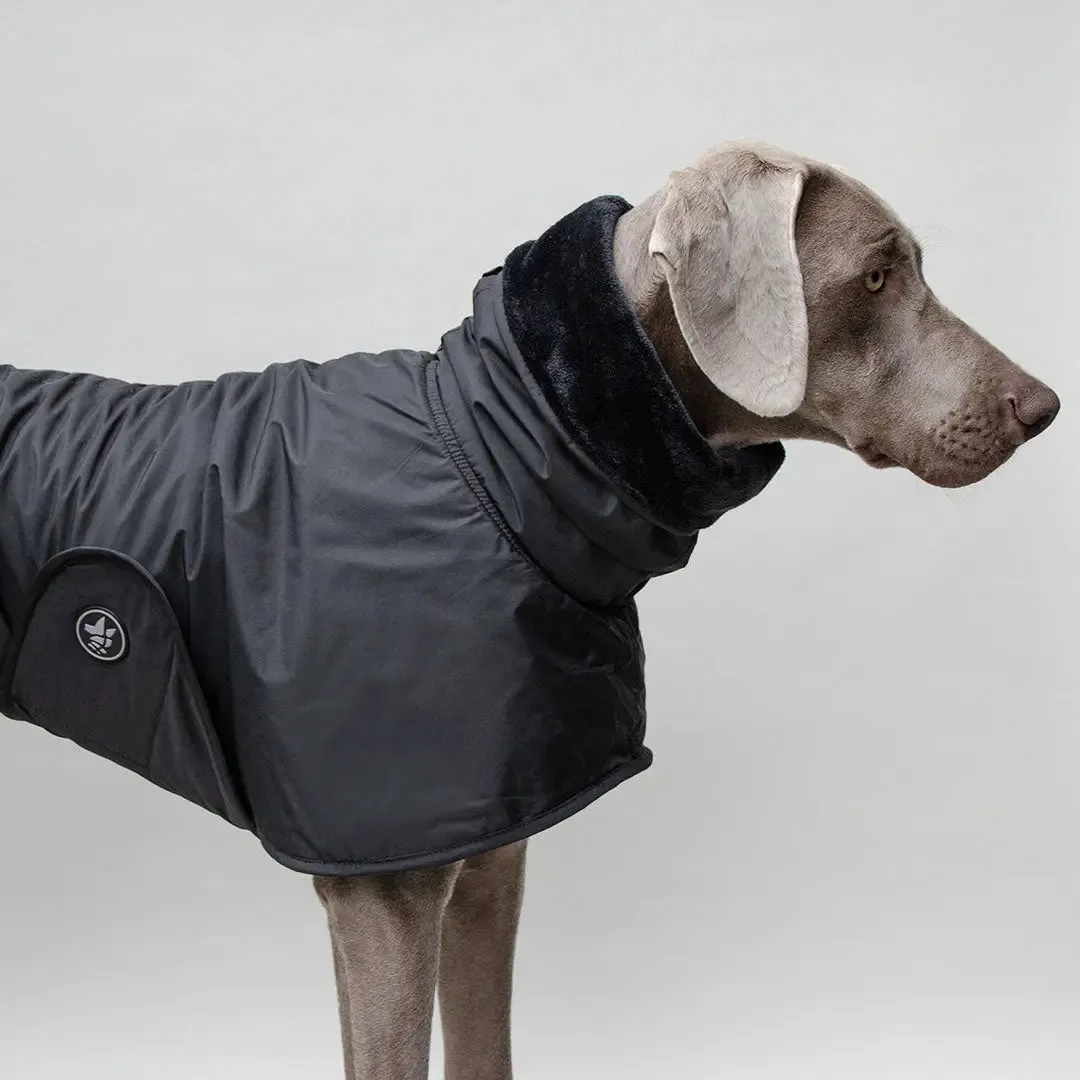 Light Snow - black - SDW