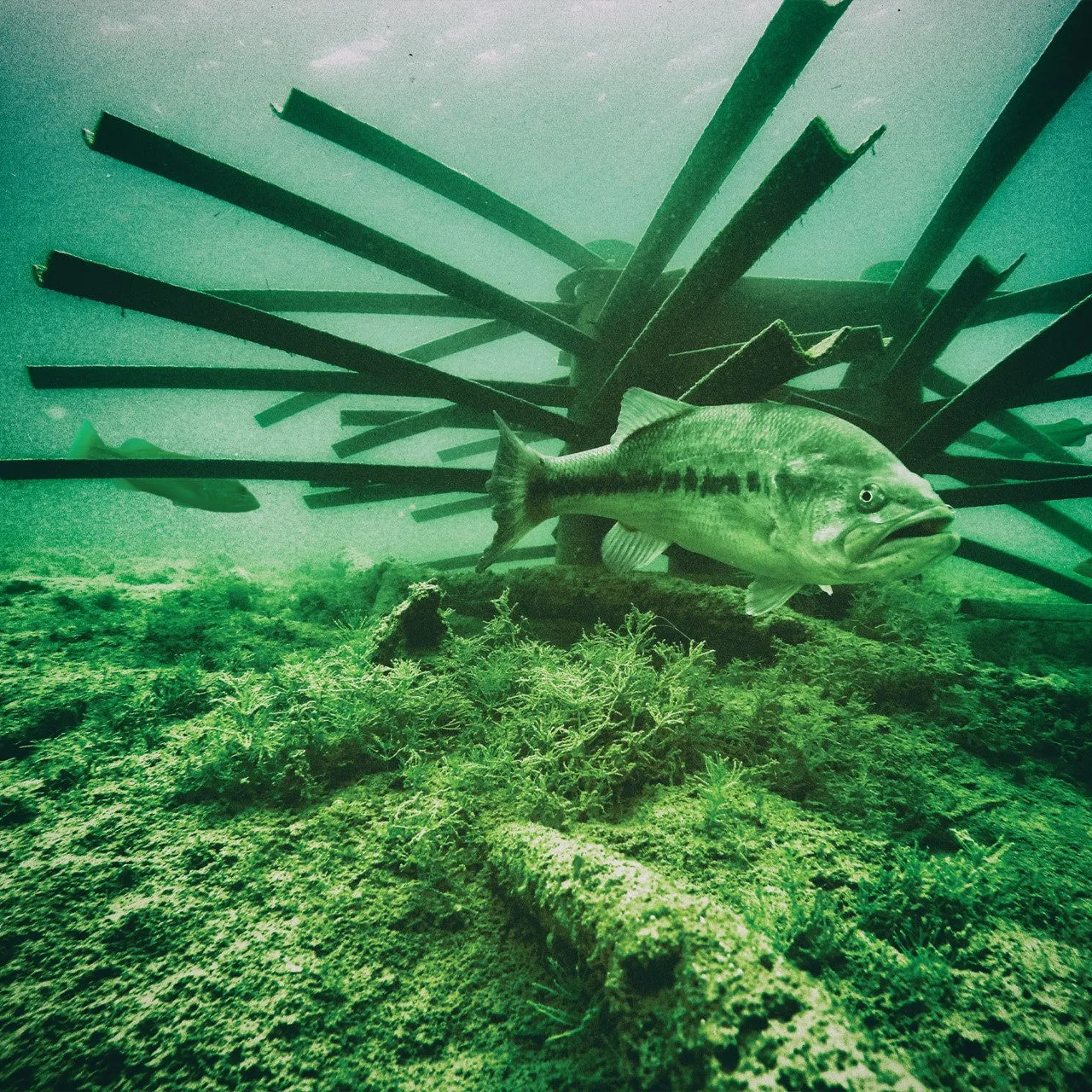 Mossback Fish Habitat Root Wad Kit