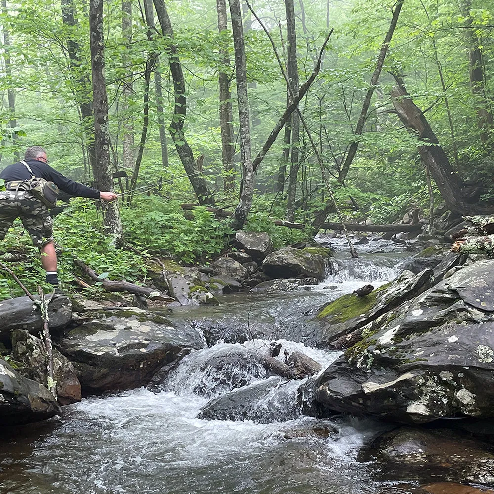 Mountain Trout Fly Fishing School - Shenandoah National Park